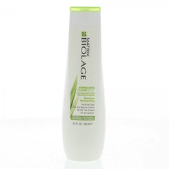 Matrix Biolage Normalizing CleanReset šampoon 250 ml цена и информация | Шампуни | kaup24.ee