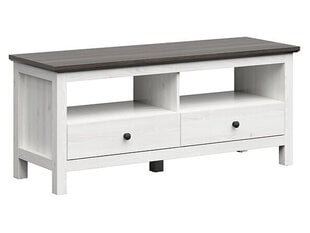 TV стол BRW Hesen 2S, светло-серый/серый цена и информация | Тумбы под телевизор | kaup24.ee