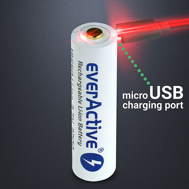 everActive USB laetav aku koos PCM-ga 18650 3200mAh hind ja info | Patareid | kaup24.ee