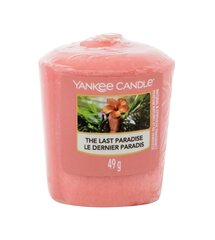 Ароматическая свеча Yankee Candle the Last Paradise 49 г цена и информация | Свечи, подсвечники | kaup24.ee