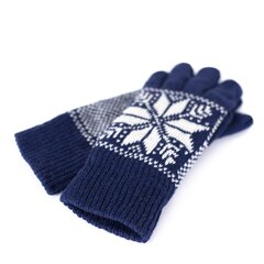 Перчатки мужские PR18608M цена и информация | Мужские шарфы, шапки, перчатки | kaup24.ee
