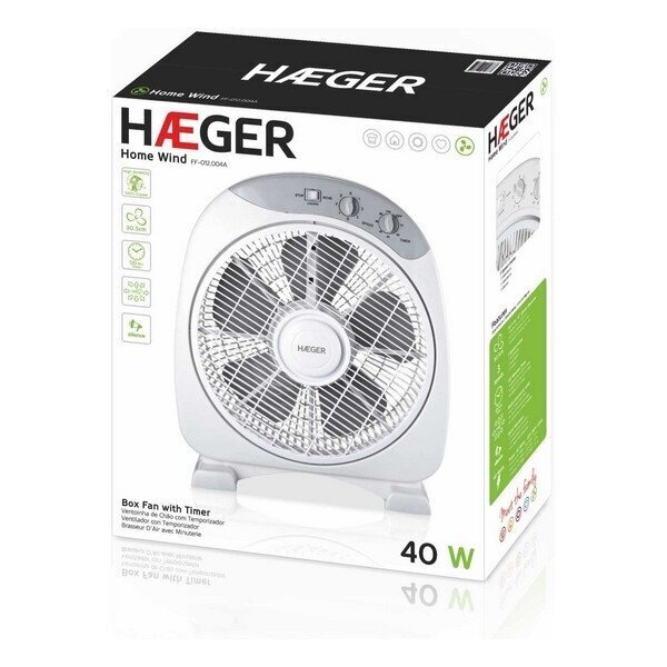 Põrandaventilaator Haeger Home Wind 40W цена и информация | Ventilaatorid | kaup24.ee