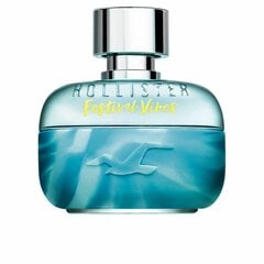 Meeste parfüüm Festival Vibes for Him Hollister EDT: Maht - 100 ml 100 ml hind ja info | Meeste parfüümid | kaup24.ee