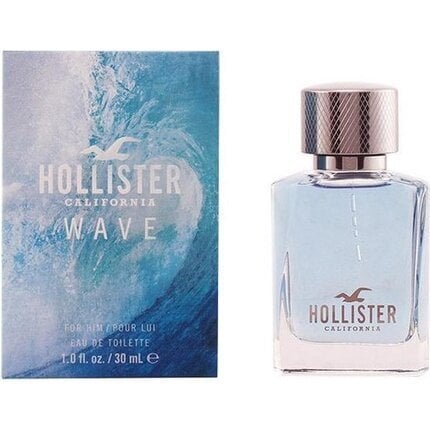 Meeste parfüüm Wave For Him Hollister EDT: Maht - 100 ml hind ja info | Meeste parfüümid | kaup24.ee