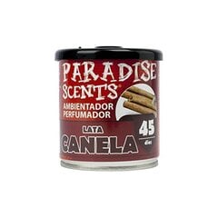 Освежитель воздуха для автомобилей Paradise Scents Корица (100 gr) цена и информация | Освежители воздуха для салона | kaup24.ee