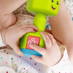 Погремушка - гантель Mattel Fisher Price цена и информация | Игрушки для малышей | kaup24.ee