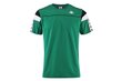 Meeste T-särk Kappa Banda Arar T shirt 303WBS0959, roheline цена и информация | Meeste T-särgid | kaup24.ee
