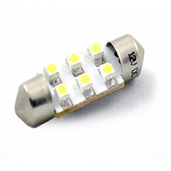 LED-lamp M-Tech C5W 12V цена и информация | Автомобильные лампочки | kaup24.ee