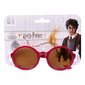 Laste päikeseprillid Harry Potter S0725066 цена и информация | Laste aksessuaarid | kaup24.ee