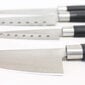 Nugade Komplekt Cecotec Santoku Roostevaba teras polüpropüleen (4 pcs) цена и информация | Noad ja tarvikud | kaup24.ee