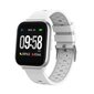 Denver SW-164 White hind ja info | Nutikellad (smartwatch) | kaup24.ee