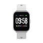 Denver SW-164 White цена и информация | Nutikellad (smartwatch) | kaup24.ee