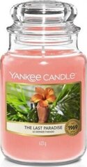 Ароматическая свеча Yankee Candle the Last Paradise 623 г цена и информация | Свечи, подсвечники | kaup24.ee