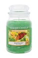 Ароматическая свеча Yankee Candle Beautiful Day 623 г