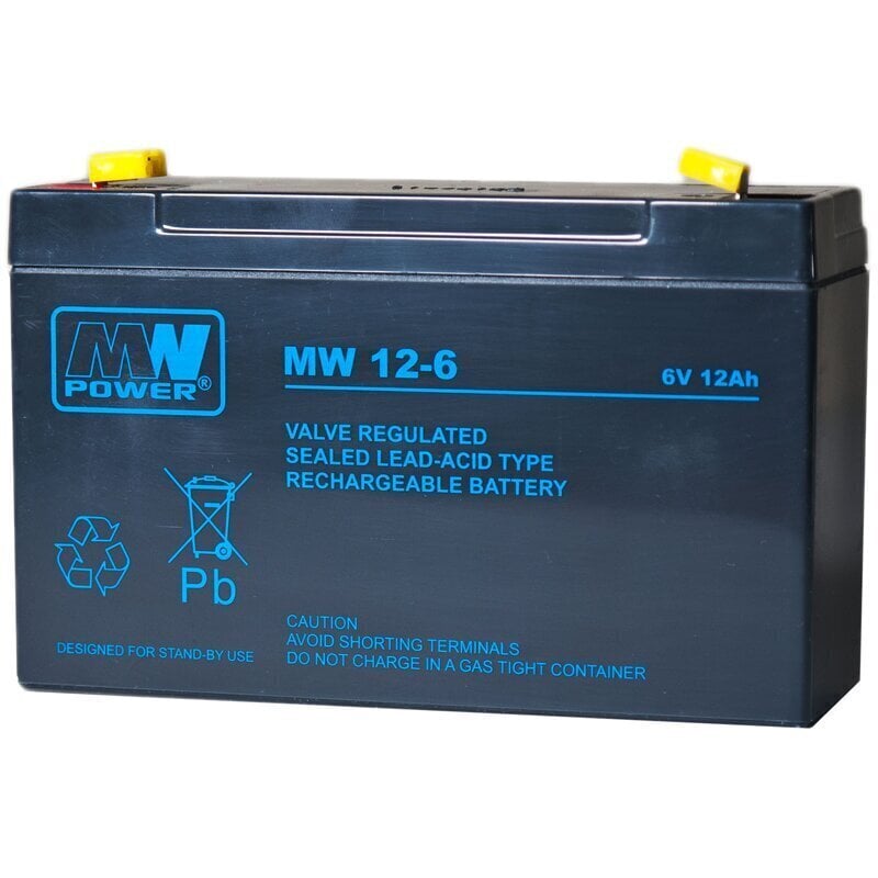 MWPower aku MW 6V 12Ah F2 (250) AGM, 6-9 aastat цена и информация | Patareid | kaup24.ee