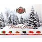 Jõulukingitee - Basilur Winter Berries Gift 60 x 2 g цена и информация | Tee | kaup24.ee