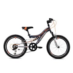 Laste jalgratas Capriolo MTB CTX 200 20" 2021, hall/must hind ja info | Jalgrattad | kaup24.ee