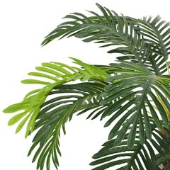 Sago palm, 90 cm цена и информация | Искусственные цветы | kaup24.ee