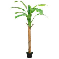 Banaanipuu, 165 cm цена и информация | Искусственные цветы | kaup24.ee