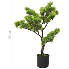 Bonsai, 60 cm цена и информация | Искусственные цветы | kaup24.ee