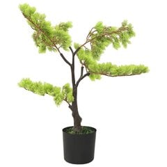 Bonsai, 60 cm цена и информация | Искусственные цветы | kaup24.ee