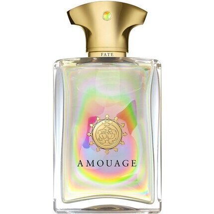 Parfüümvesi Amouage Fate for Men EDP meestele 50 ml hind ja info | Meeste parfüümid | kaup24.ee