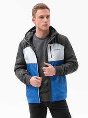 Куртка весна-осень C447, синяя цена и информация | Мужские куртки | kaup24.ee