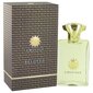 Meeste parfüüm Amouage Beloved Man EDP, 100 ml hind ja info | Meeste parfüümid | kaup24.ee