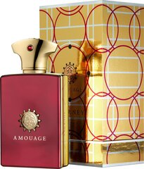 Аромат Amouage Journey Man EDP, 50 мл цена и информация | Мужские духи | kaup24.ee