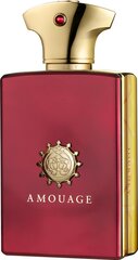 Parfüümvesi Amouage Journey EDP meestele, 50 ml hind ja info | Meeste parfüümid | kaup24.ee