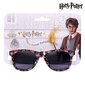 Laste päikeseprillid Harry Potter must S0725067 цена и информация | Laste aksessuaarid | kaup24.ee