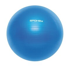 Võimlemispall Fitball, 55 cm, sinine hind ja info | Võimlemispallid | kaup24.ee