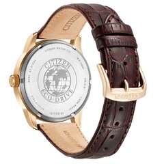 Мужские часы Citizen Eco-Drive BM8553-16AE цена и информация | Мужские часы | kaup24.ee