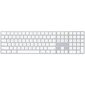 Magic Keyboard with Numeric Keypad INT - MQ052Z/A hind ja info | Klaviatuurid | kaup24.ee