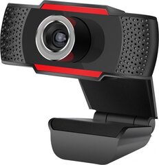 Видео камера Techly Full HD 1080P цена и информация | Компьютерные (Веб) камеры | kaup24.ee