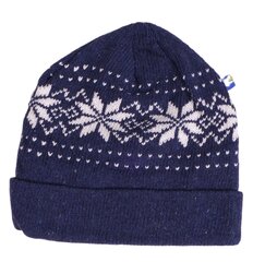 Müts, universaalne, valge/sinist värvi hind ja info | Naiste mütsid ja peapaelad | kaup24.ee