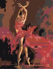Kартины по номерам "Девушка и танец" 40x50 G цена и информация | Живопись по номерам | kaup24.ee