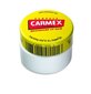 Carmex pot - huulepalsam цена и информация | Huulepulgad, -läiked, -palsamid, vaseliin | kaup24.ee