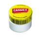 Carmex pot - huulepalsam hind ja info | Huulepulgad, -läiked, -palsamid, vaseliin | kaup24.ee