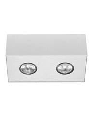 Nowodvorski Lighting laevalgusti Carson White-Silver II 5574 hind ja info | Laelambid | kaup24.ee