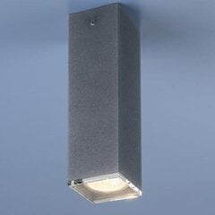 Nowodvorski Lighting потолочный светильник Bryce Concrete S 5718 цена и информация | Потолочные светильники | kaup24.ee