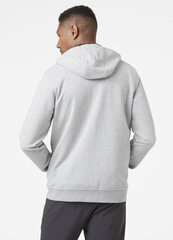 Helly Hansen мужской джемпер HH Logo Full Zip Hoodie Grey Melange 34163949, серый цена и информация | Мужские толстовки | kaup24.ee