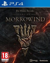 PS4 The Elder Scrolls Online Morrowind цена и информация | Компьютерные игры | kaup24.ee