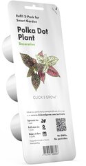 Click & Grow Smart Garden refill Гипоэстес 3 шт цена и информация | Проращиватели, лампы для растений | kaup24.ee