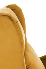 Кресло-Recliner AGUSTIN, желтый цена и информация | Кресла в гостиную | kaup24.ee