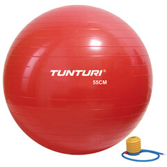 Гимнастический мяч с насосом Tunturi Gymball 55 см, красный цена и информация | Гимнастические мячи | kaup24.ee