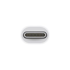 Адаптер Apple A1790 Type-C Thunderbolt 2 цена и информация | Адаптеры и USB-hub | kaup24.ee