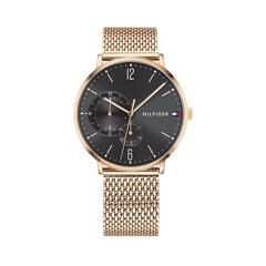мужские часы tommy hilfiger brooklyn 1791506 (zf061b) цена и информация | Мужские часы | kaup24.ee