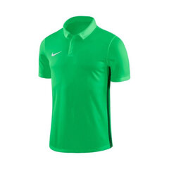 Мужская футболка Nike Dry Academy18 Football Polo M 899984361, зеленая цена и информация | Мужская спортивная одежда | kaup24.ee