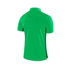 Мужская футболка Nike Dry Academy18 Football Polo M 899984361, зеленая цена и информация | Мужская спортивная одежда | kaup24.ee